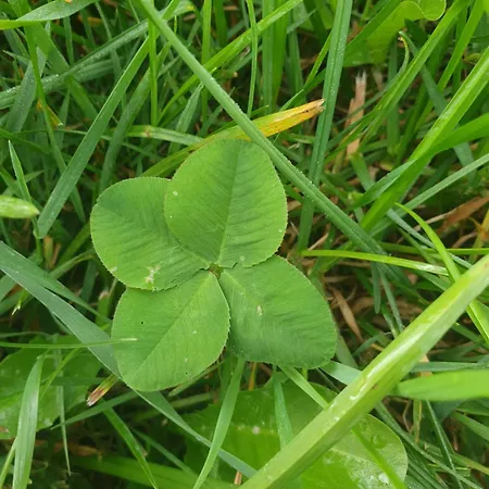 Haus Am Weinberg Зекирхен-ам-Валлерзе