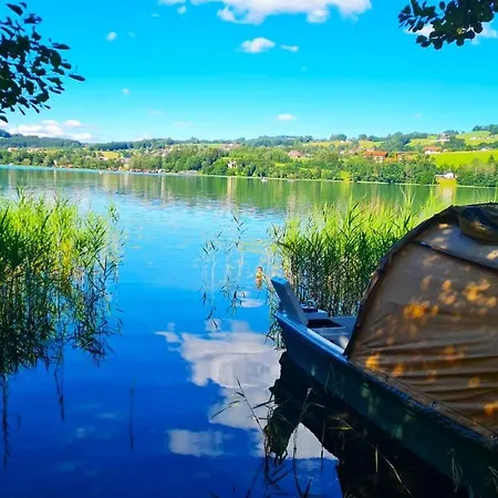 Lejlighed Haus Am Weinberg Seekirchen am Wallersee