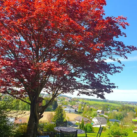 Haus Am Weinberg Apartment