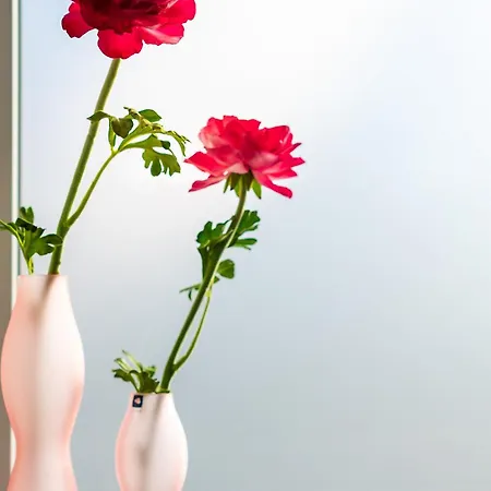 Lejlighed Haus Am Weinberg