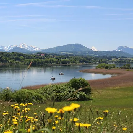 Daire Haus Am Weinberg Seekirchen am Wallersee