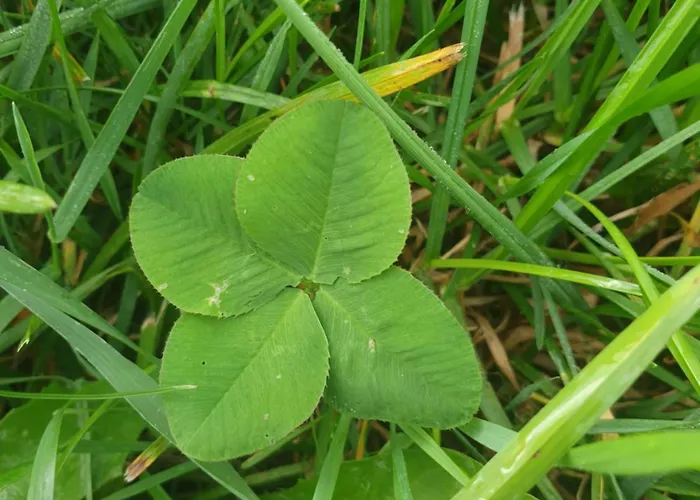 Haus Am Weinberg Seekirchen am Wallersee