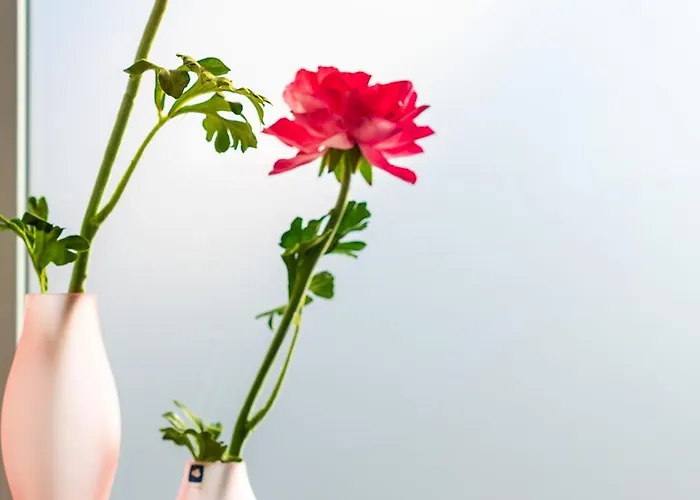 Apartman Haus Am Weinberg