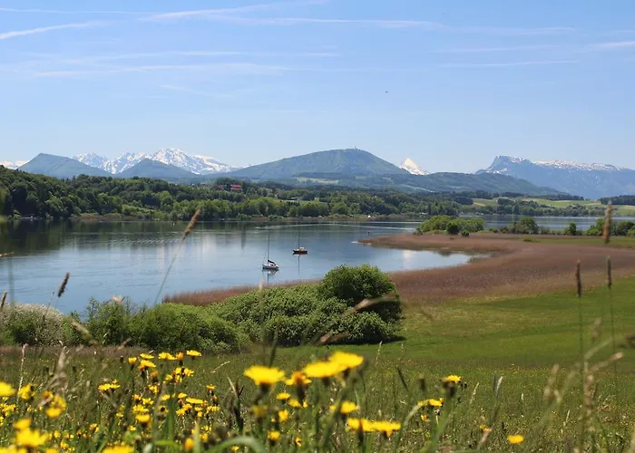 Apartman Haus Am Weinberg Seekirchen am Wallersee