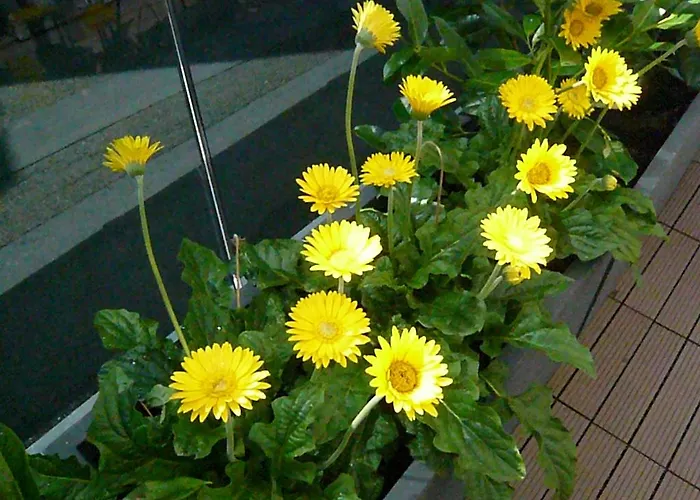 Apartman Haus Am Weinberg *